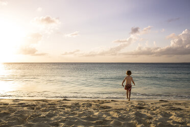 Rear view of boy walking towards beach against sky on sunny day - CAVF43791