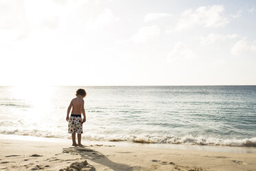 Rear view of shirtless boy standing at beach against sky on sunny day - CAVF43796