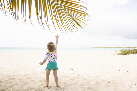 Rückansicht eines Mädchens, das nach einem Palmenblatt am Strand greift, lizenzfreies Stockfoto