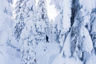 Rückansicht eines Mannes beim Wandern auf einem schneebedeckten Hügel - CAVF43856