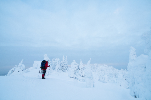Seitenansicht von Wanderer stehend auf schneebedeckten füllen gegen bewölkten Himmel, lizenzfreies Stockfoto