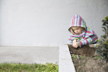 Girl in warm clothing playing with soil in backyard against wall - CAVF44128