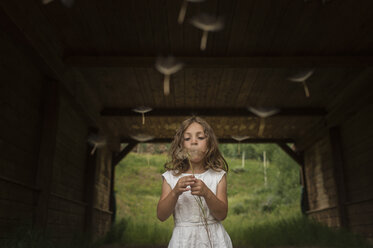 Girl blowing dandelion seeds while standing under shed - CAVF44160