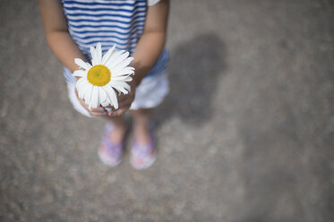 Low section of girl holding white daisy while standing on street - CAVF44161