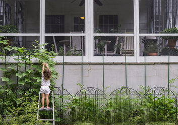 Rear view of girl standing on ladder reaching for flowers in yard - CAVF44165