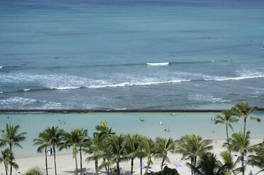 Scenic view of palm trees growing at beach - CAVF44168