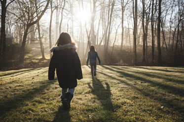 Rückansicht von Schwestern, die an einem sonnigen Tag auf einer Wiese im Wald spazieren gehen - CAVF44176