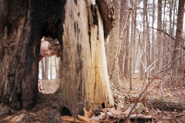 Boy (6-7) looking at tree - CAVF44213