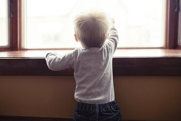 Rückansicht eines kleinen Jungen, der durch ein Fenster zu Hause schaut - CAVF44651