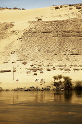 Blick auf den Nil und die Sanddüne in Assuan - CAVF44697