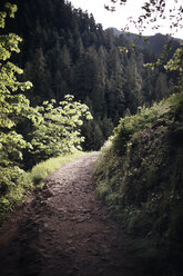 Schotterstraße inmitten von Pflanzen gegen Berge - CAVF44758