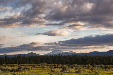 Landschaftlicher Blick auf eine Wiese und Berge gegen den bewölkten Himmel im Shevlin Park bei Sonnenuntergang - CAVF44813