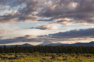 Scenic view of grassy field and mountains against cloudy sky at Shevlin Park during sunset - CAVF44813