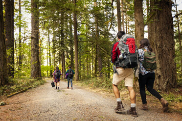 Rückansicht von Freunden, die auf einer Straße im Wald spazieren gehen - CAVF44951