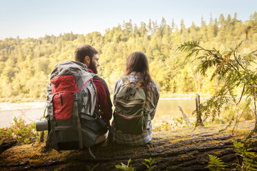 Ehepaar im Gespräch auf einem umgestürzten Baumstamm im Wald sitzend - CAVF44954