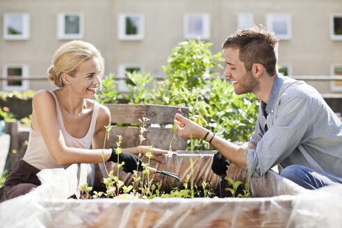 Glückliches junges Paar bei der Gartenarbeit im städtischen Garten - MASF06278