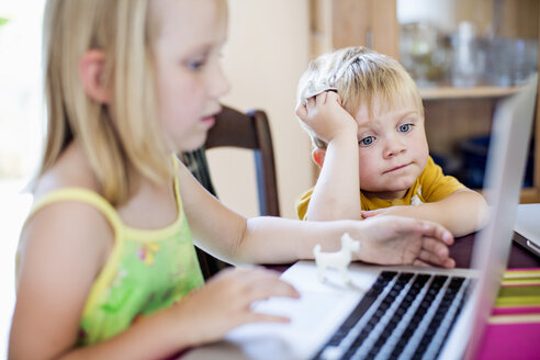 Kleiner Junge sitzt mit seiner Schwester am Laptop am Tisch - MASF06312