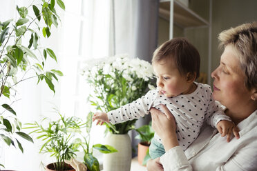 Mature woman carrying baby girl while standing by window at home - CAVF45568