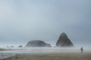 Rear view of woman walking at beach during foggy weather - CAVF45850