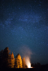 Lagerfeuer auf Feld im Wald gegen Sternenfeld bei Nacht - CAVF45897