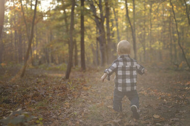 Rear view of baby boy walking in forest - CAVF45942