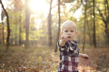Baby boy looking away while standing in forest - CAVF45943