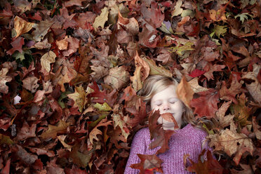 High angle view of girl sleeping on maple leaves - CAVF45948