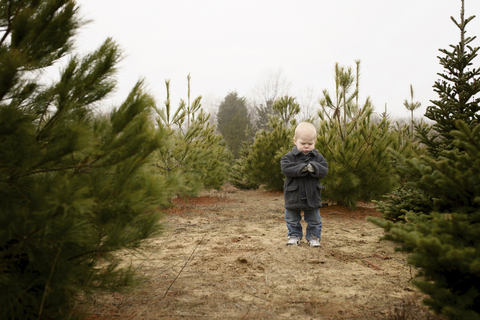 Junge steht in einer Weihnachtsbaumfarm vor klarem Himmel, lizenzfreies Stockfoto