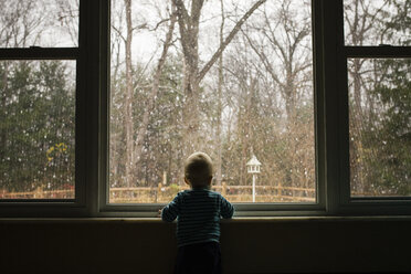 Rückansicht eines Kleinkindes, das durch das Fenster seines Hauses im Winter schaut - CAVF45956