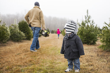 Kleinkind auf einer Wiese mit Vater, der eine schnurlose Kettensäge trägt - CAVF45958