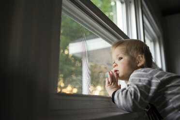 Niedriger Blickwinkel eines neugierigen Jungen, der durch das Fenster schaut - CAVF45980