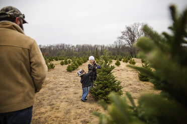 Rückansicht eines Vaters mit Blick auf Kinder, die mit einem Tannenbaum auf einem Bauernhof spielen - CAVF46009