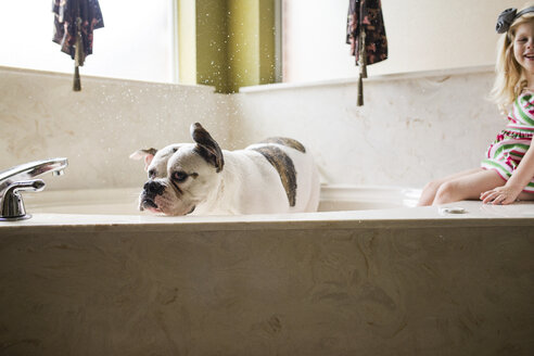 Glückliches Mädchen sitzt in der Badewanne, während die Bulldogge zu Hause ein Bad nimmt - CAVF46061