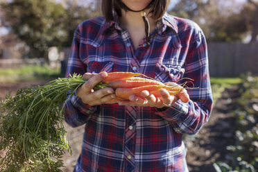 Midsection of female farmer holding carrots while standing at community garden - CAVF46202