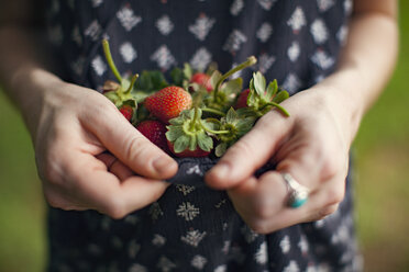 Mittelteil einer Bäuerin mit Erdbeeren im Kleid auf einem Bauernhof - CAVF46258