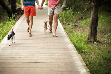 Tiefschnitt eines homosexuellen Paares, das mit Chihuahuas auf der Promenade eines Parks spazieren geht - CAVF46652