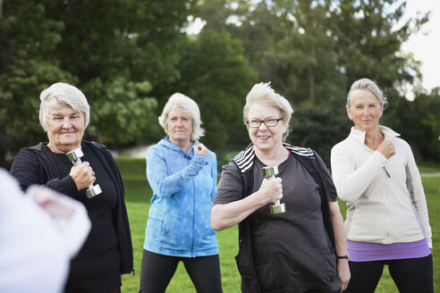 Ältere Frauen beim Sport im Park - MASF06792