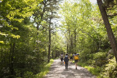 Rückansicht von Freunden, die auf einer Straße inmitten von Bäumen im Wald spazieren gehen - CAVF46972