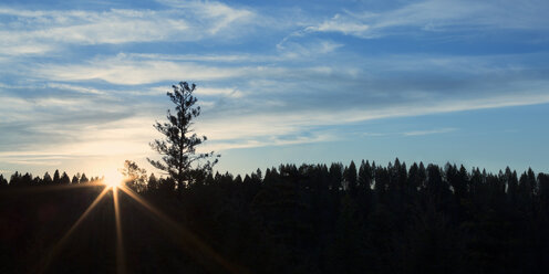 Landschaftliche Ansicht der Silhouette Bäume gegen blauen Himmel bei Sonnenaufgang - CAVF47328