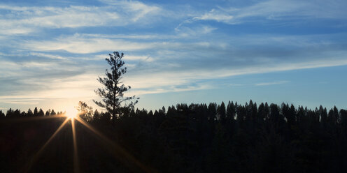 Scenic view of silhouette trees against blue sky during sunrise - CAVF47328