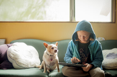 Junge, der einen Tablet-Computer benutzt, während er mit seinem Chihuahua zu Hause auf dem Sofa sitzt - CAVF47387