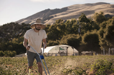 Selbstbewusster männlicher Landwirt bei der Arbeit auf dem Feld - CAVF47396