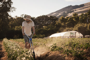 Male farmer working on agricultural field - CAVF47398