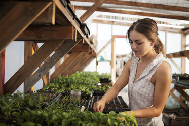 Female farmer working in greenhouse - CAVF47405