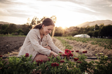 Happy female farmer picking fresh flowers on field - CAVF47423