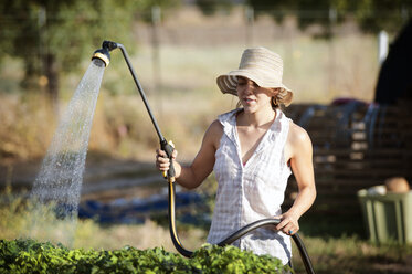 Junge Bäuerin bewässert Pflanzen auf einem Feld - CAVF47434
