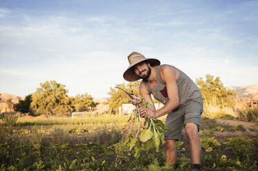 Portrait of happy male farmer holding freshly harvested beetroots on field against sky - CAVF47442