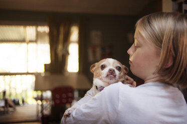 Mädchen mit Chihuahua, während sie zu Hause steht - CAVF47490