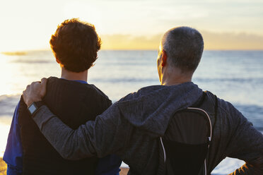 Vater und Sohn betrachten die Aussicht, während sie am Strand stehen - CAVF47753