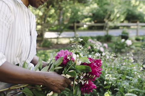 Mittelteil einer Frau mit frisch geernteten Blumen im Garten, lizenzfreies Stockfoto